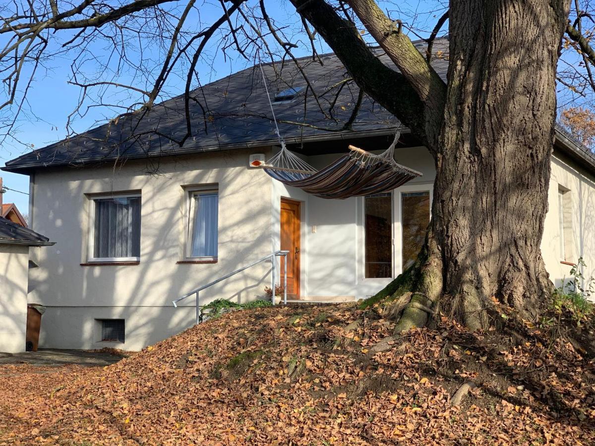 Ned Haus Villa Feldkirchen bei Graz Ngoại thất bức ảnh