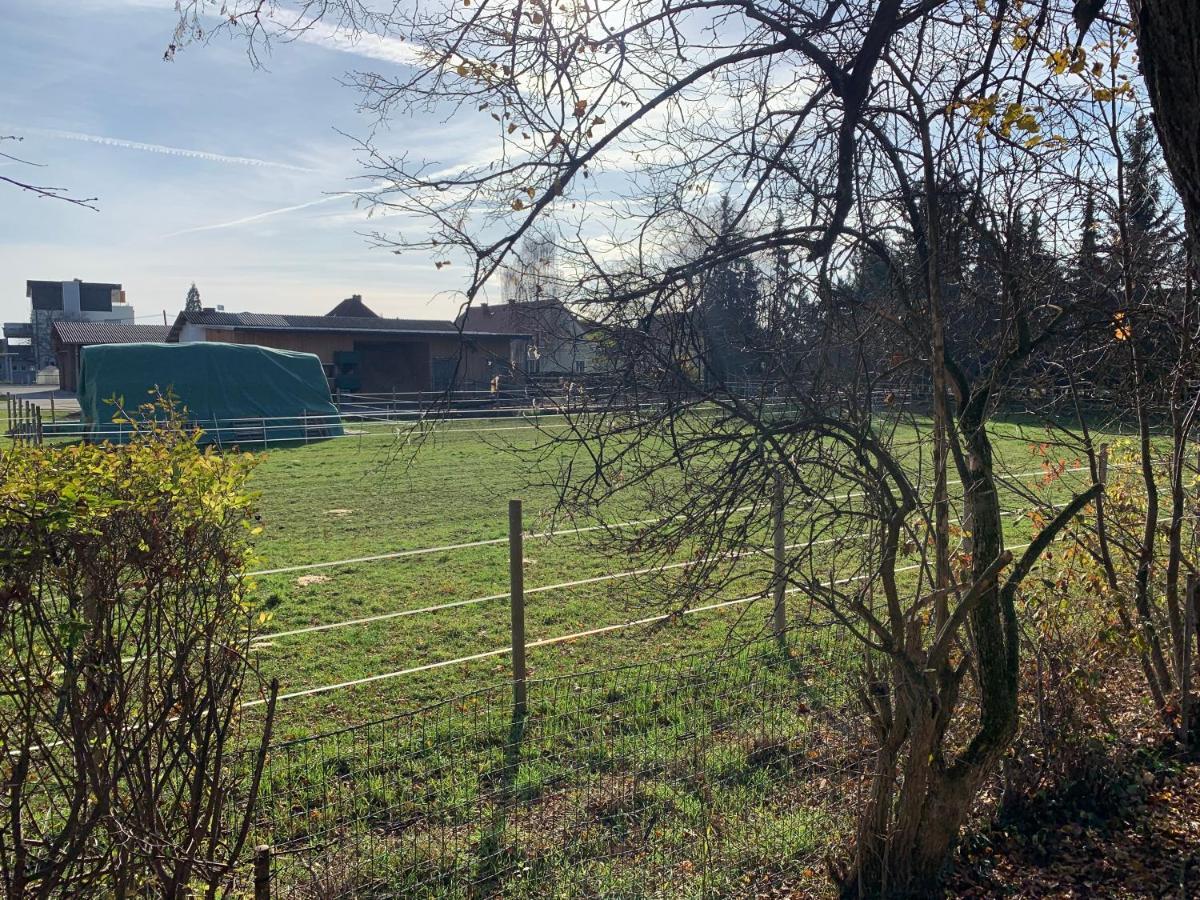 Ned Haus Villa Feldkirchen bei Graz Ngoại thất bức ảnh